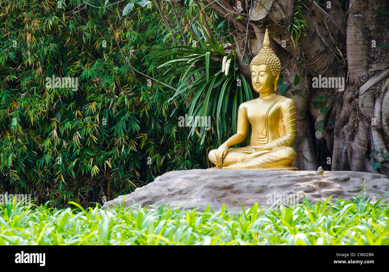 Gold-Image des buddha Stockfoto