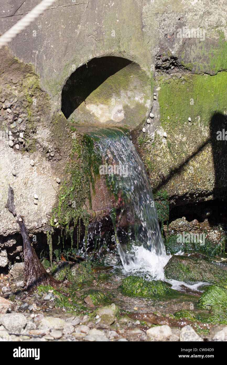 Abwasser aus Abfluss in Mündung entleeren. Montrose Schottland. Stockfoto