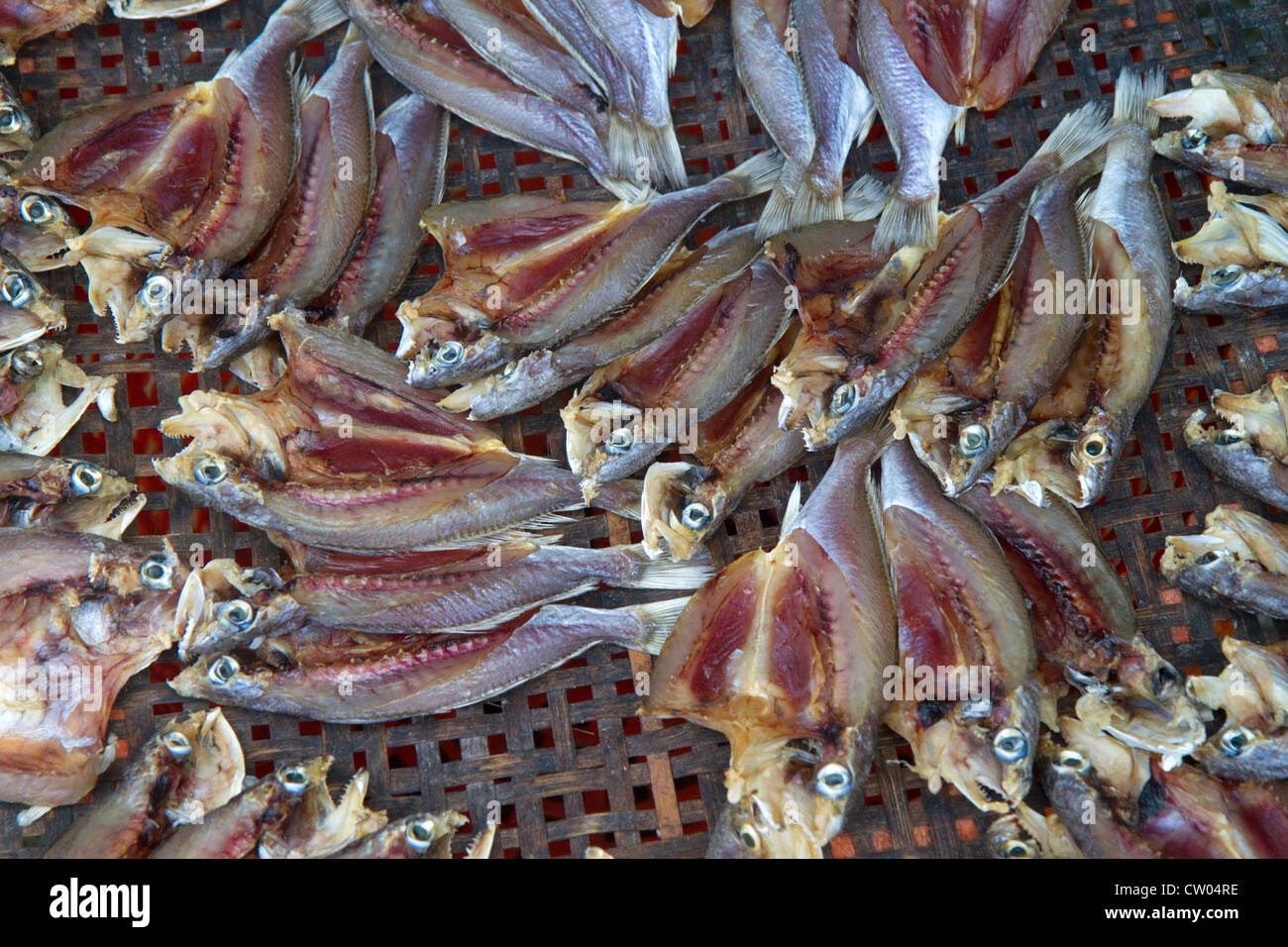 Anbieter verkaufen Trockenfisch auf einem Freiluftmarkt auf der Insel Ko Samui, Thailand. Stockfoto