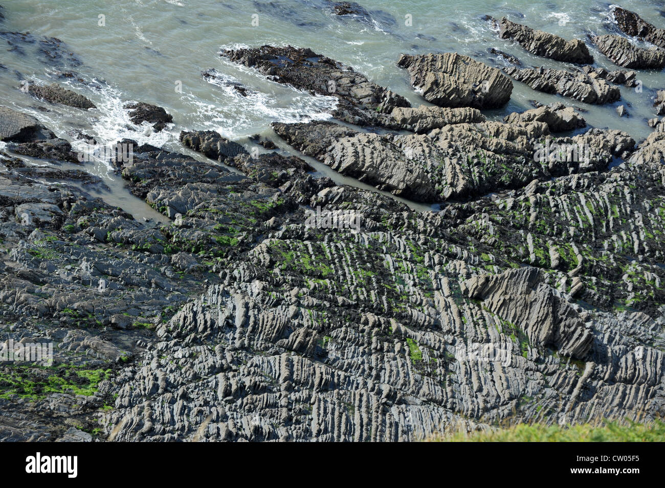 Welsh coast Felsformation Cardigan Bay in der Nähe von Aberystwyth Wales Uk Stockfoto Welsh coast Felsformation Cardigan Bay in der Nähe von Aberystwyth Wales Uk Stockfoto