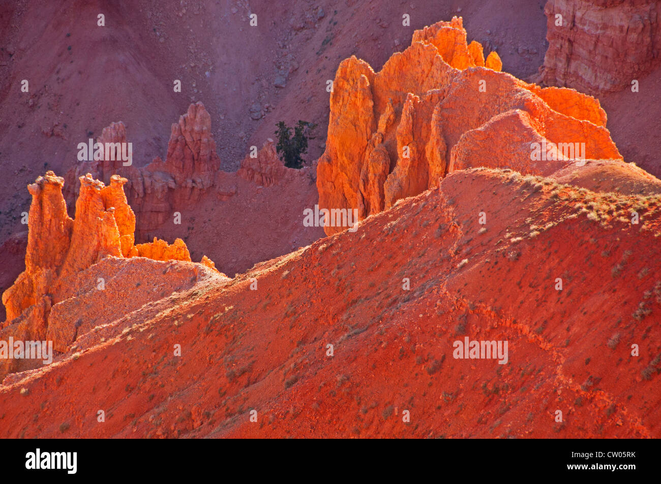 Nahaufnahme des Amphitheaters rockt in Cedar Breaks National Monument in Utah Stockfoto