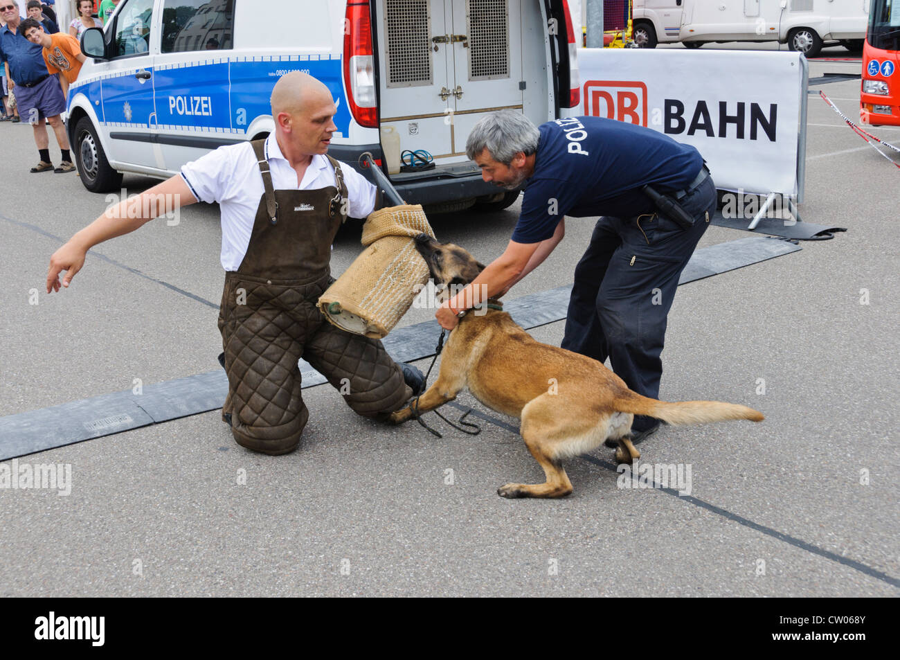 K-9 belgischen Schäferhund Malinois deutscher Polizeihund Durchführung ein Schutzhund Übung im öffentlichen beißen im Studienarm mit Hund trainer Stockfoto