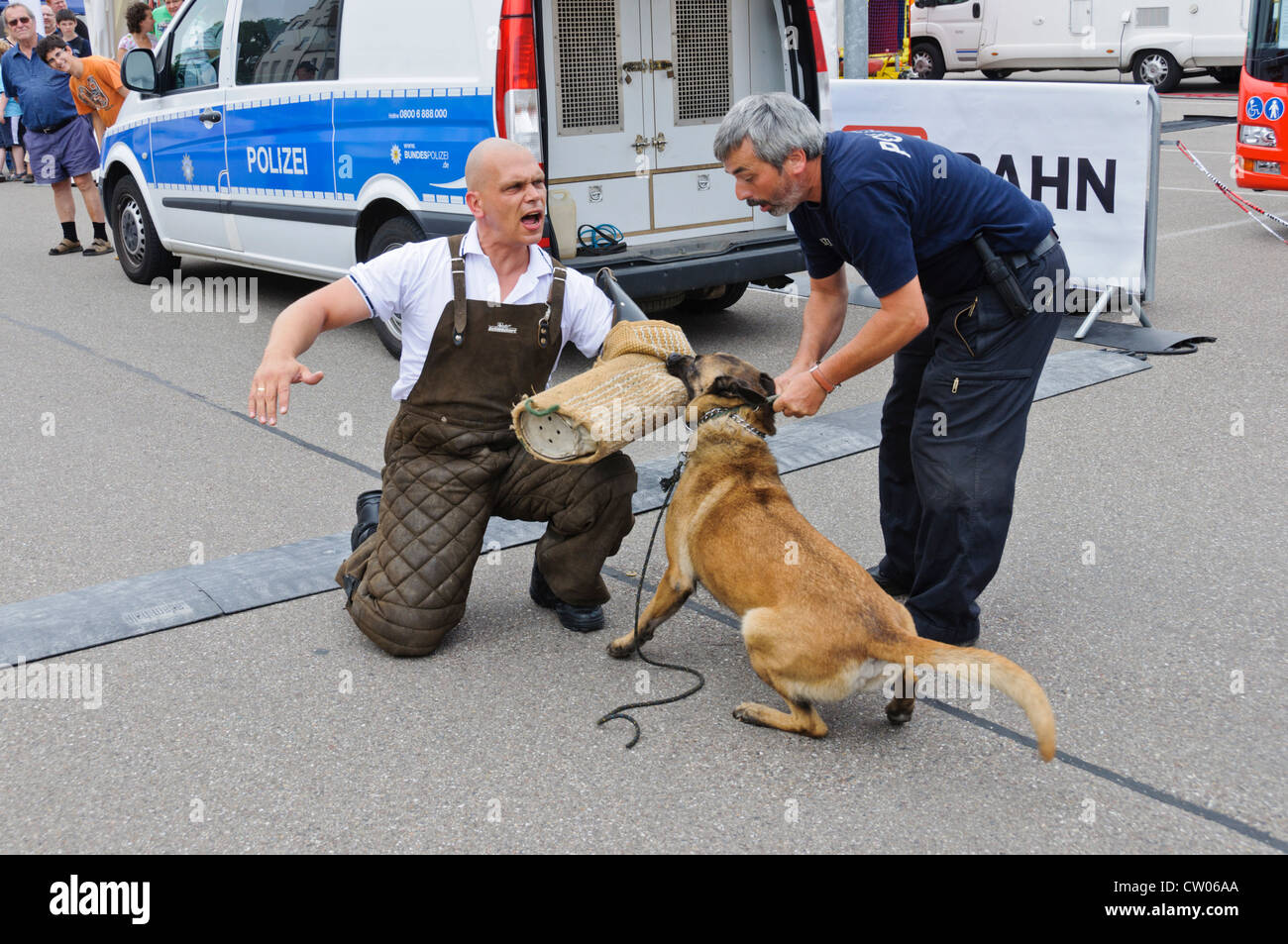 K-9 belgischen Schäferhund Malinois deutscher Polizeihund Durchführung ein Schutzhund Übung im öffentlichen beißen im Studienarm mit Hund trainer Stockfoto