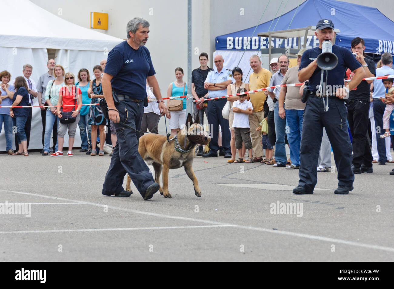 Belgischer Schäferhund Malinois Bundesministerium der Finanzen (Bundespolizei) Polizeihund Durchführung einer Schutz-Hund-Übung in der Öffentlichkeit - Deutschland Stockfoto
