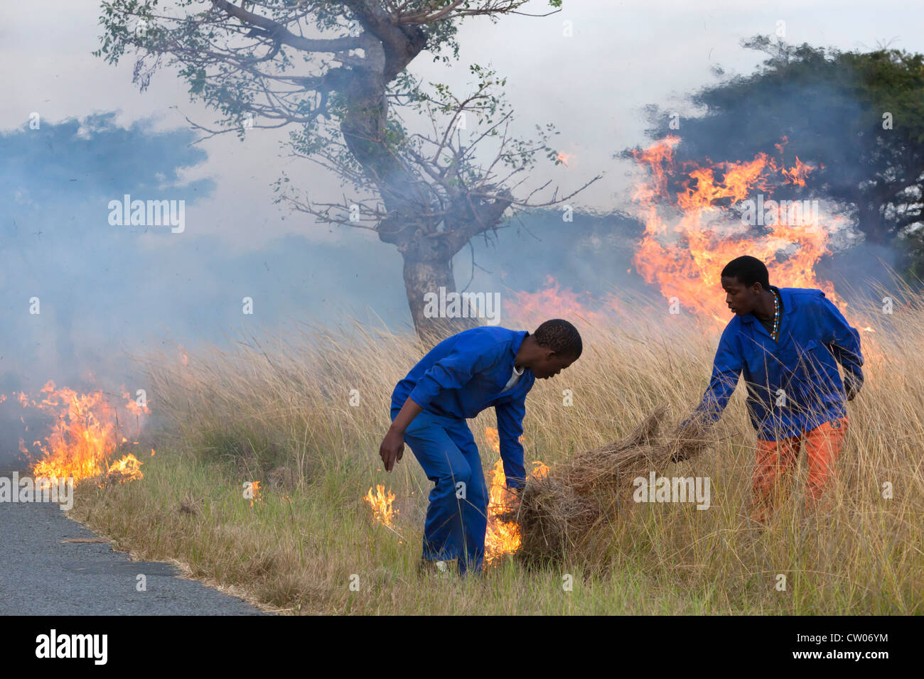Kontrollierte Verbrennung Feuerschneise vor wilden Feuer zu erstellen, iMfolozi Game reserve, Kwazulu Natal, Südafrika Stockfoto