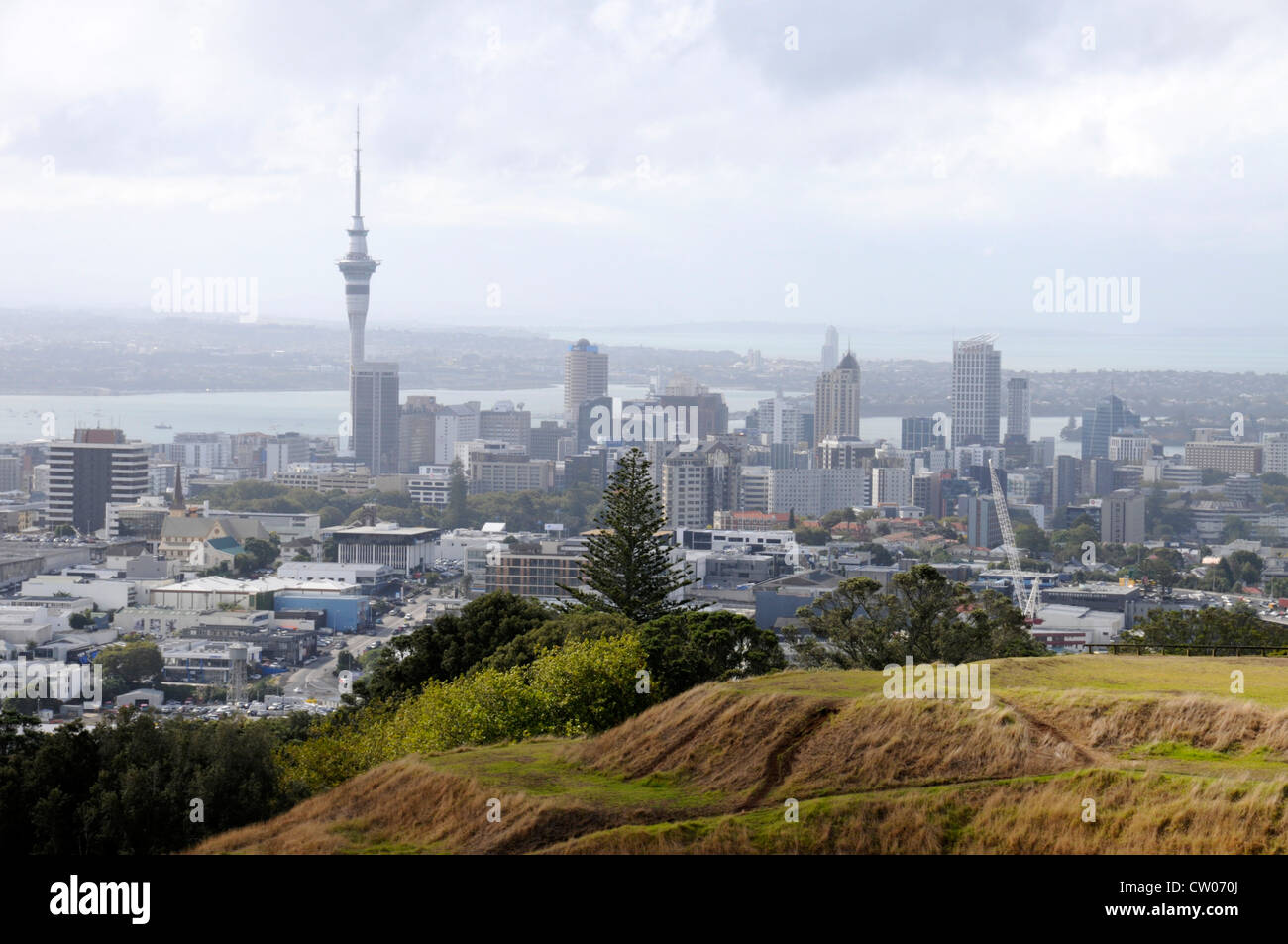 Skyline von Auckland vom Mount Eden, dem höchsten schlafenden Vulkanberg in Auckland in Neuseeland. Stockfoto