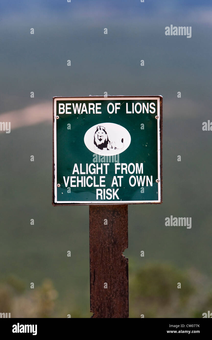 Hüte dich vor Löwen, bleiben Sie im Auto-Warnschild, Addo National Park, Südafrika Stockfoto