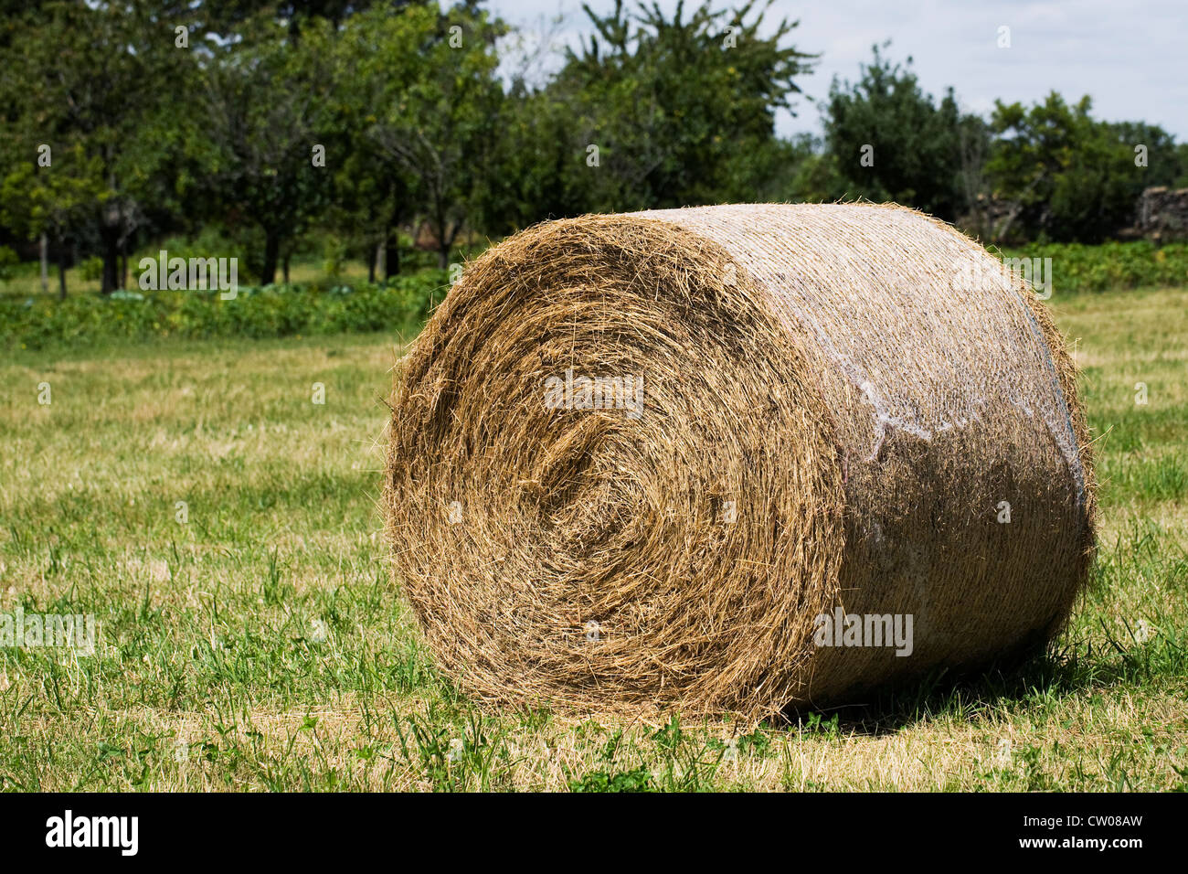 Neu Ballen Heu in der französischen Landschaft. Stockfoto