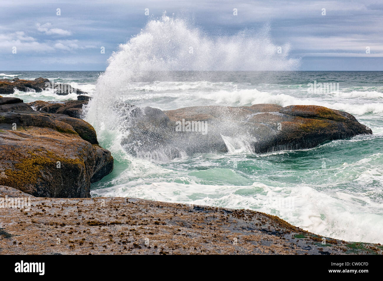 Wellen bei Flut gegen die Basalt Felsen im Ruhestand und Oregons zentralen Küste. Stockfoto