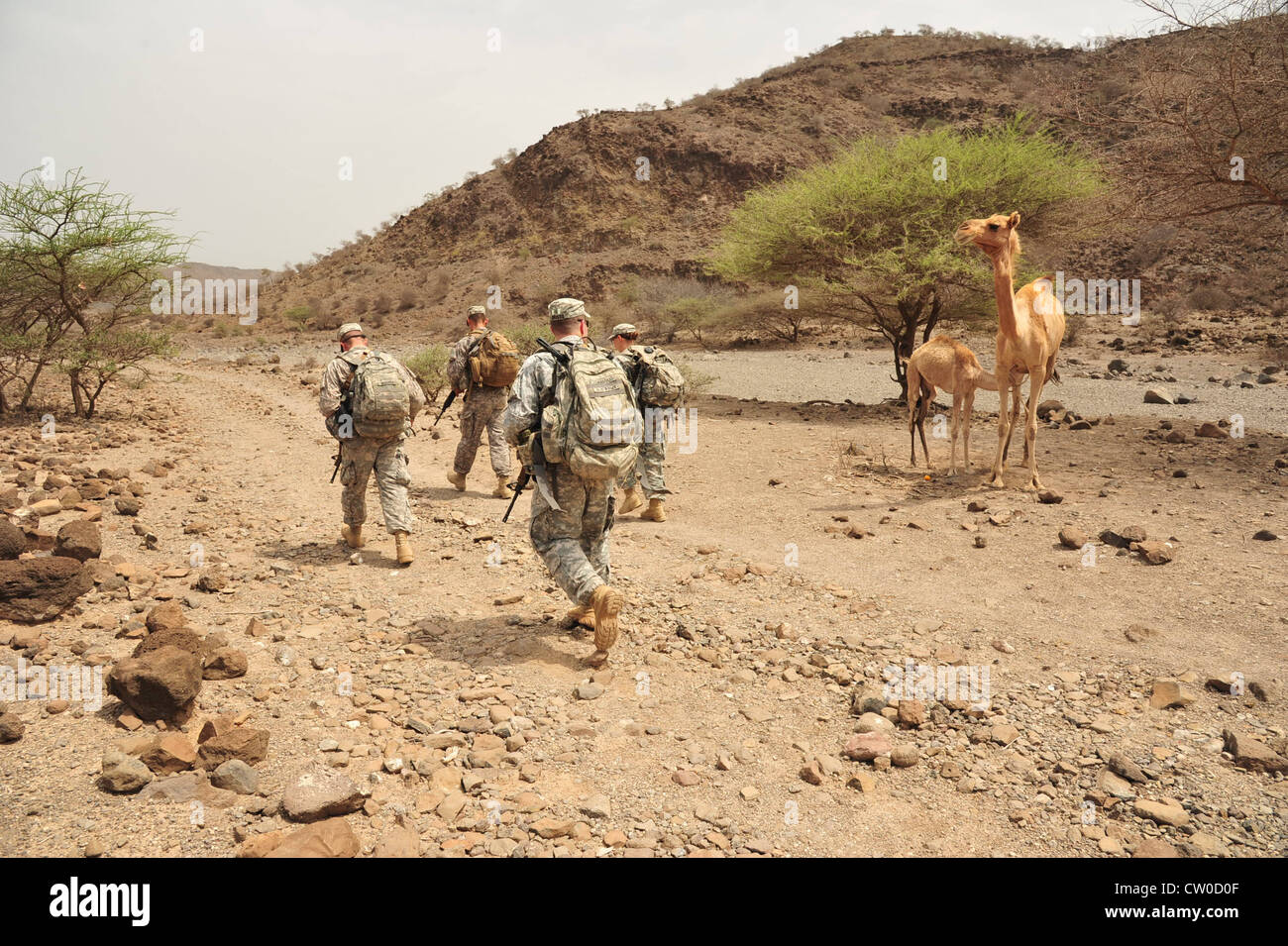 Soldaten der US-Armee aus der 3. Staffel, 124. Kavalleriedivision, Task Force Raptor manövrieren durch Wüstengelände, während sie am Spornritt der Einheit am 2. August 2012 in den Wüsten von Dschibuti teilnehmen. Der Spornritt ist eine Kavallerietradition, in der ein Trooper eine Reihe von Tests bestehen muss, die körperliche, Führungsqualitäten, technische und taktische Fähigkeiten in einem stark beanspruchten Umfeld bewerten, um seine Spornen zu verdienen und Mitglied des Spur-Ordens zu werden. Die Task Force Raptor wird zur Unterstützung der gemeinsamen Task Force Horn von Afrika eingesetzt. Stockfoto