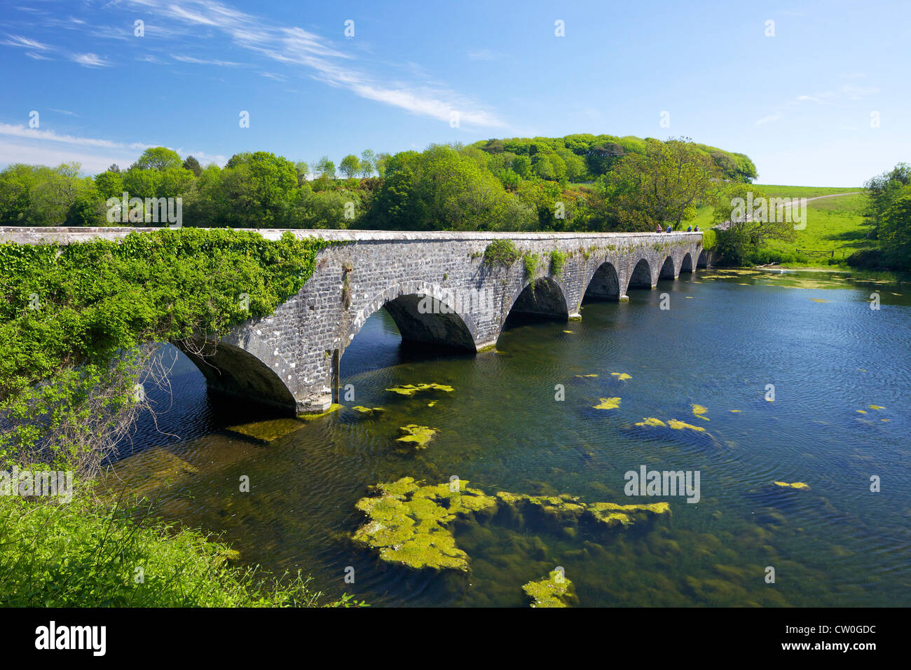 8-Bogen-Brücke, Bosherton Seerosenteichen, Pembrokeshire Nationalpark, Westwales, Cymru, UK, Vereinigtes Königreich, GB, Großbritannien, Stockfoto