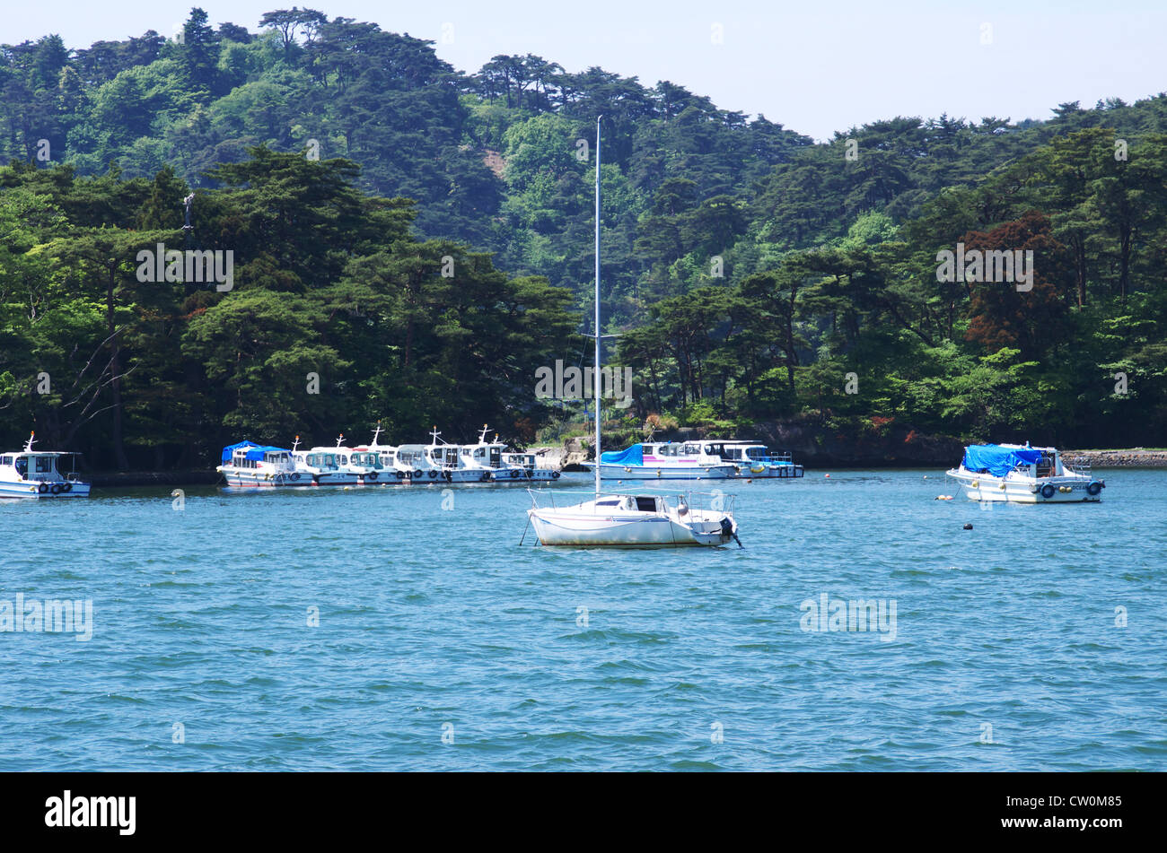 Matushima Bucht in Japan Stockfoto