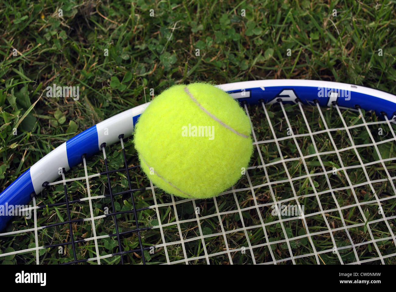 Tennis Ball Tennisschläger auf einen Rasentennisplatz Stockfoto