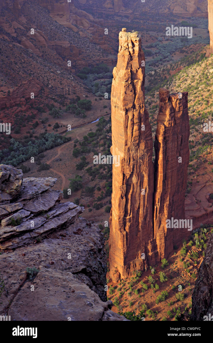 Vertikale Ausrichtung Blick auf Felsen Turmspitze in tiefe Schlucht Stockfoto