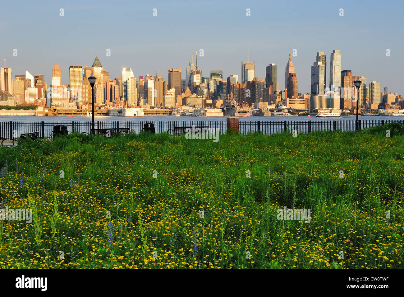New York City Manhattan Midtown Skyline-Blick vom New Jersey Hudson River Waterfront Park mit grünen Rasen bei Sonnenuntergang. Stockfoto