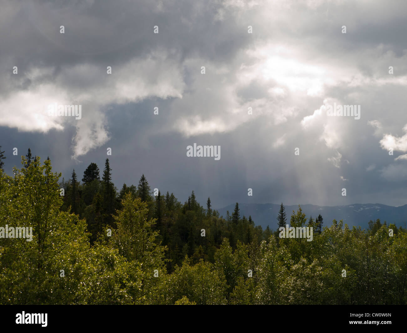 Bedrohliche Wolken mit Streifen von Sonne über dunklen Wald in den Bergen Gaustablikk in Telemark, Norwegen Stockfoto