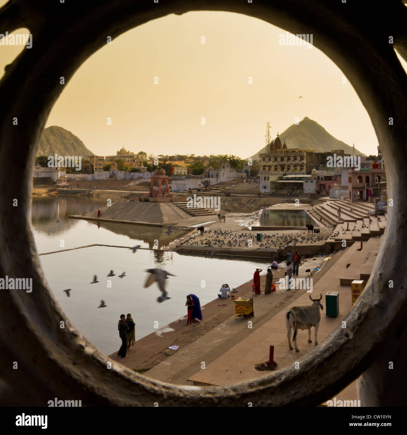 Blick auf Ghandi Ghat durch Rundfenster in Pushkar mit Kühen, Pilger und fliegenden Tauben. Stockfoto