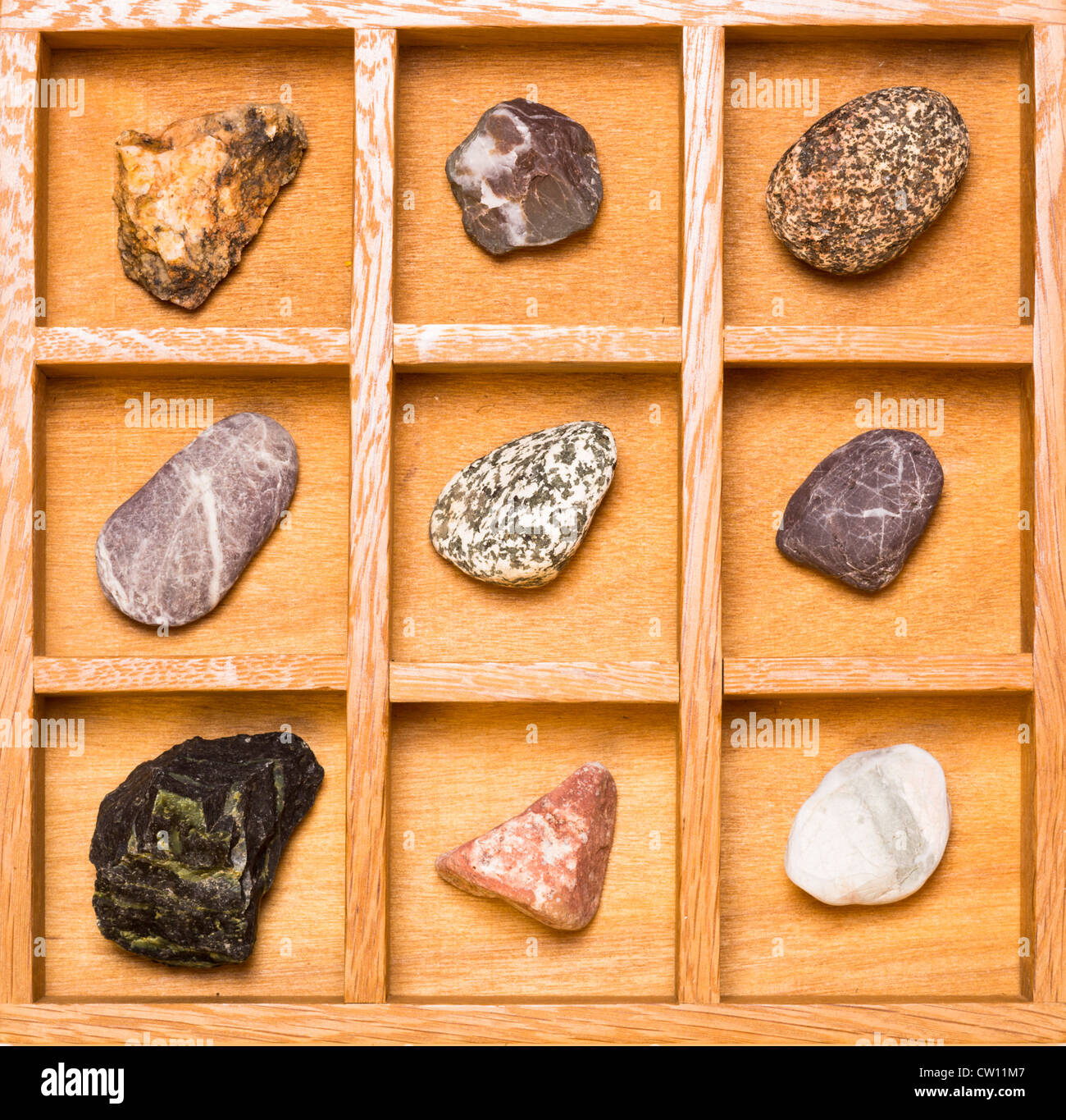 Schatten-Holzbox mit Sammlung von Gesteinen und Mineralien Stockfoto