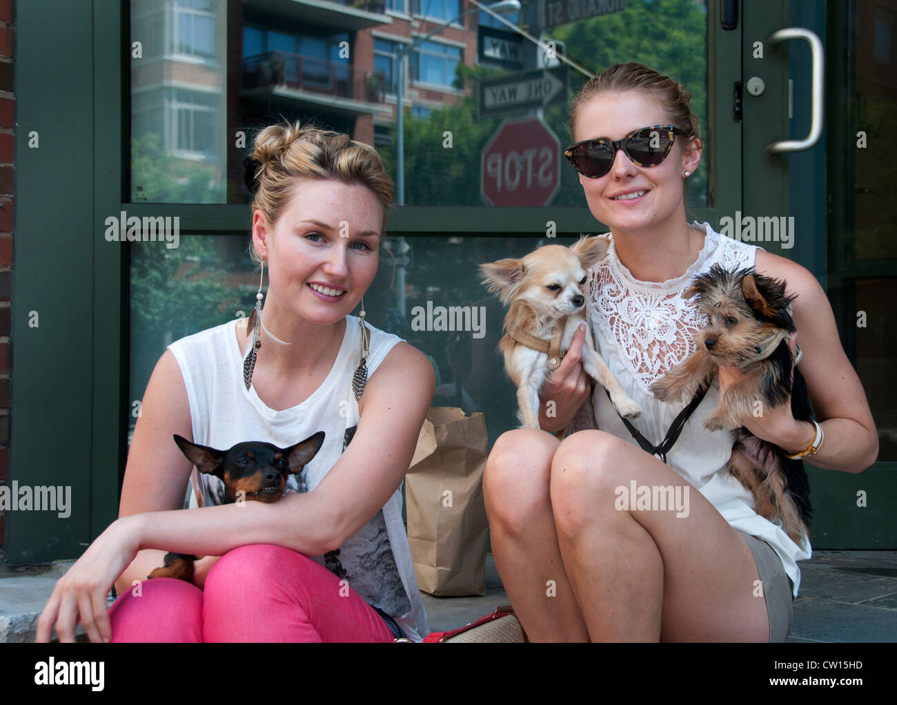 Junge Mädchen Frauen kleine Hunde West Village Manhattan New York City Vereinigte Staaten von Amerika Stockfoto