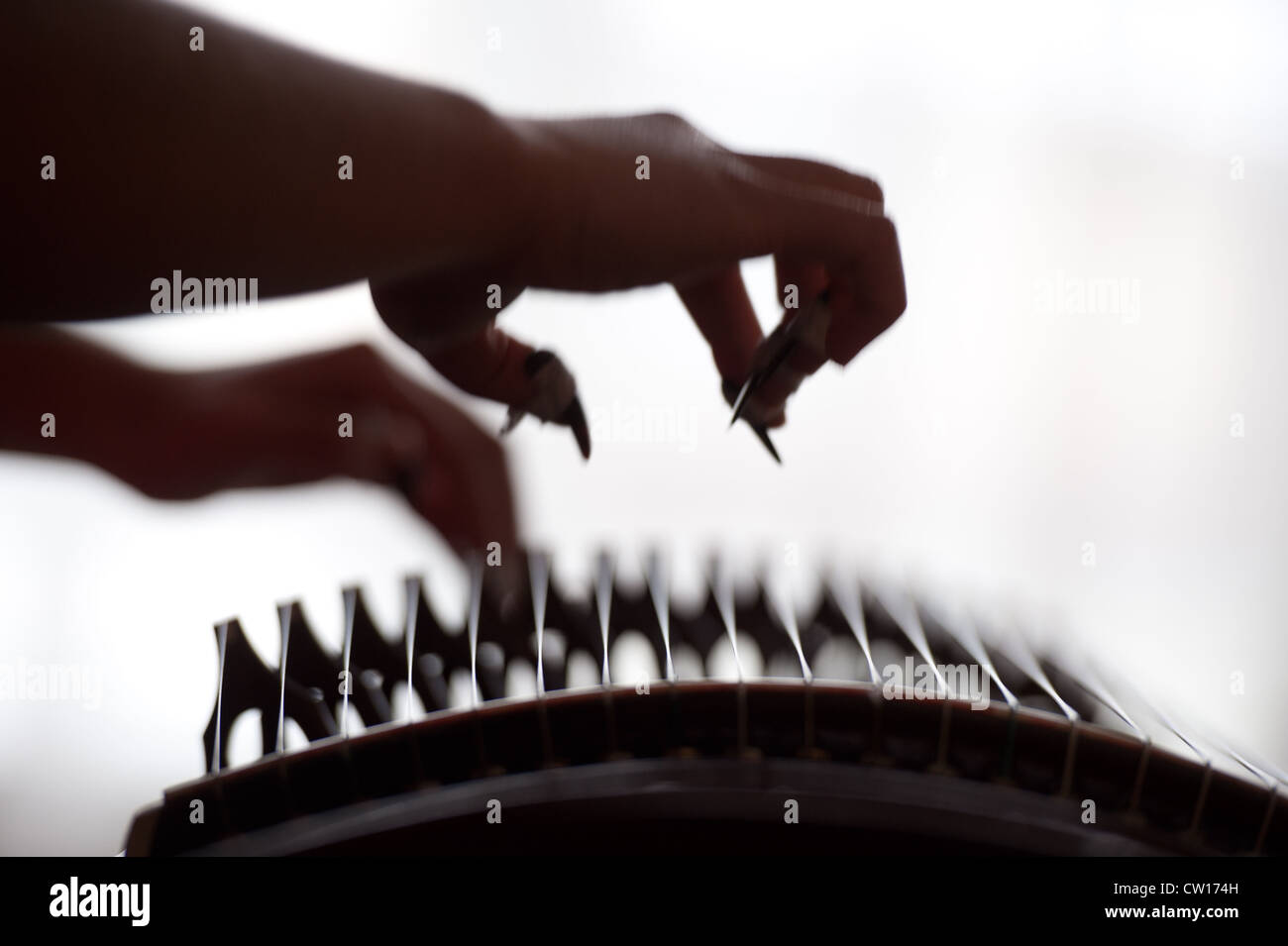 Musiker spielen traditionelle chinesische Guzheng Stockfoto