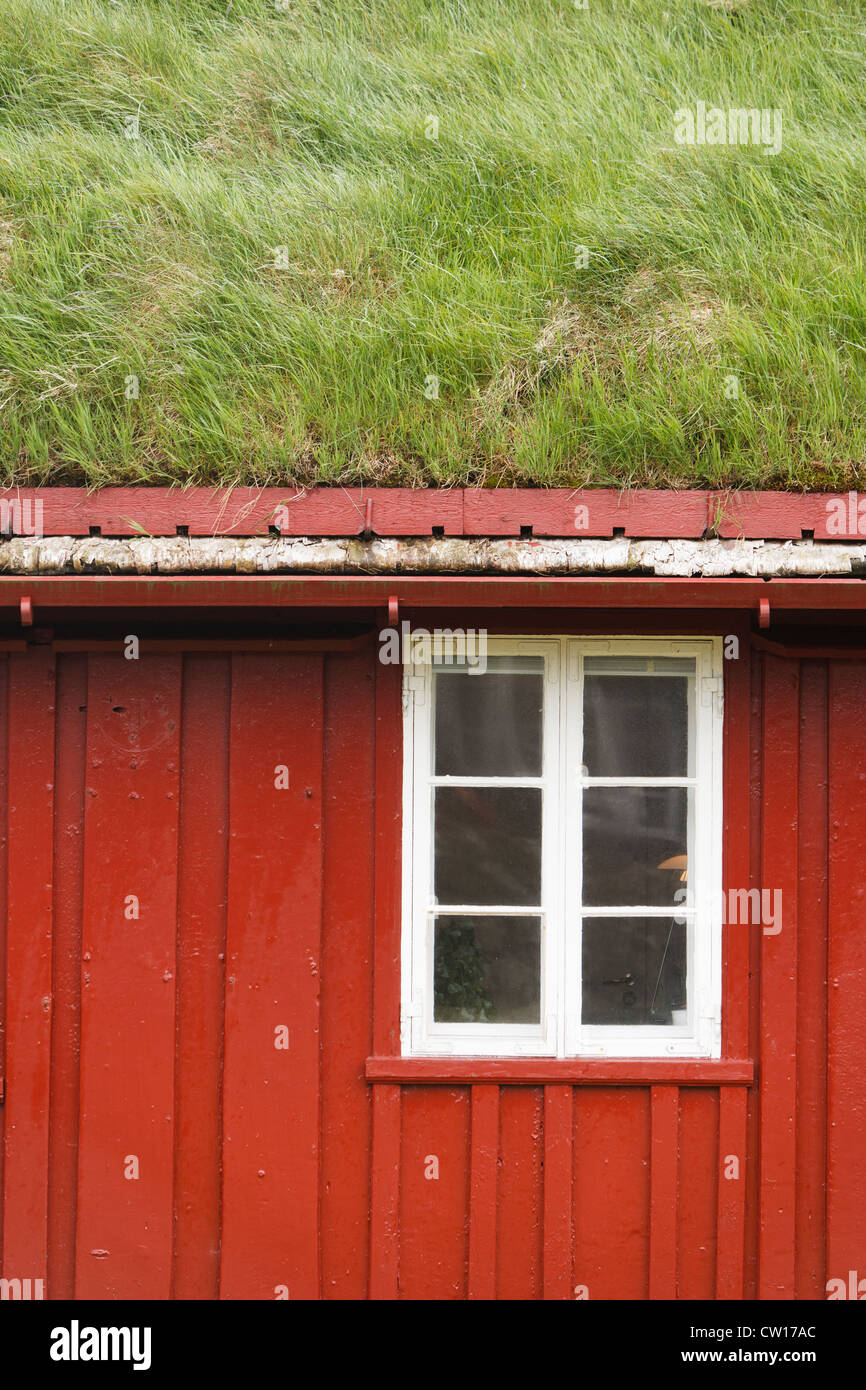 Haus Rasen überdacht in Tórshavn, Färöer Inseln Stockfoto