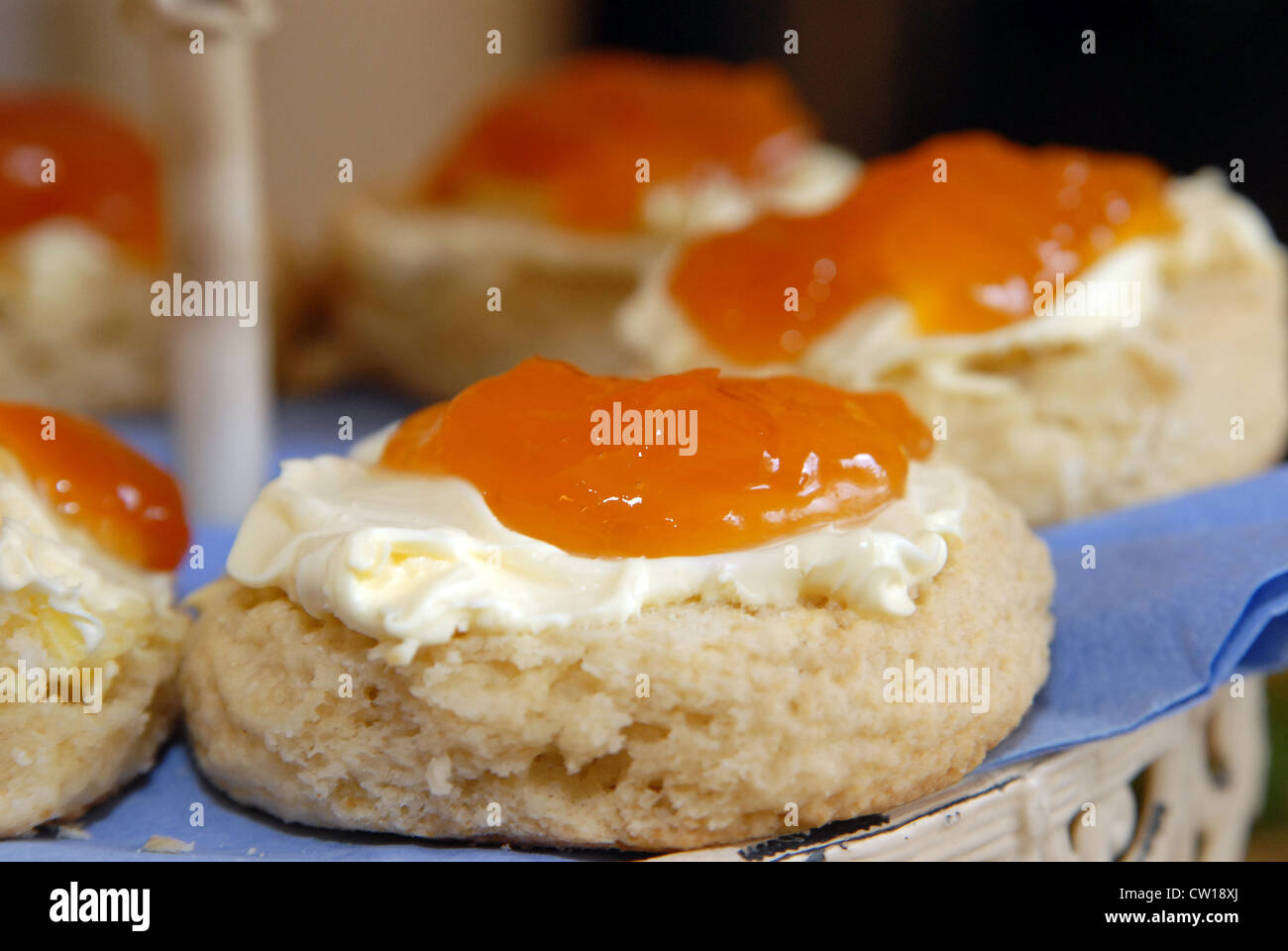Ein Scone, Marillenmarmelade und Clotted Cream bei der Goldenen Hochzeit Feier.  Die klassischen Zutaten für ein englischer Cream Tea. Stockfoto