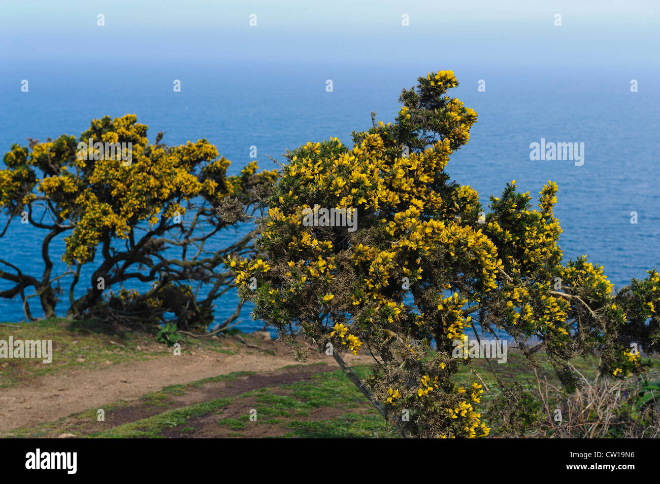 Küste bei Teufelsloch, Insel Jersey, Kanalinseln Stockfoto