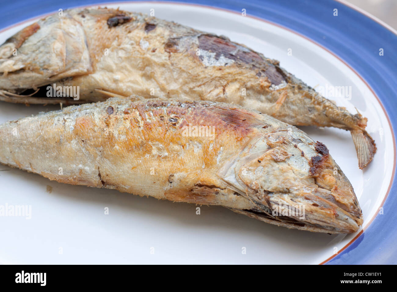 Makrele ist ein Grundnahrungsmittel der Thais. Stockfoto
