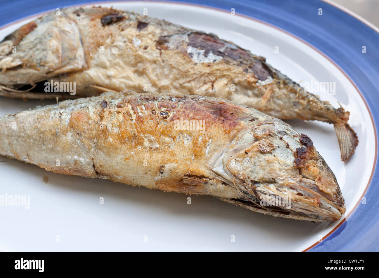 Makrele ist ein Grundnahrungsmittel der Thais. Stockfoto