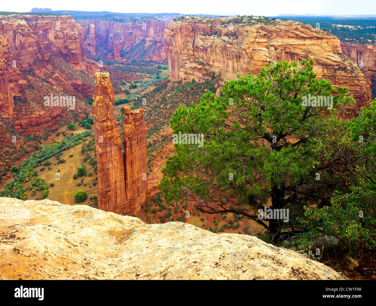 Spider Rock steht mit genial würde und Schönheit mehr als 800 Fuß hoch in Arizonas bunte Canyon de Chelly National Monument. Stockfoto