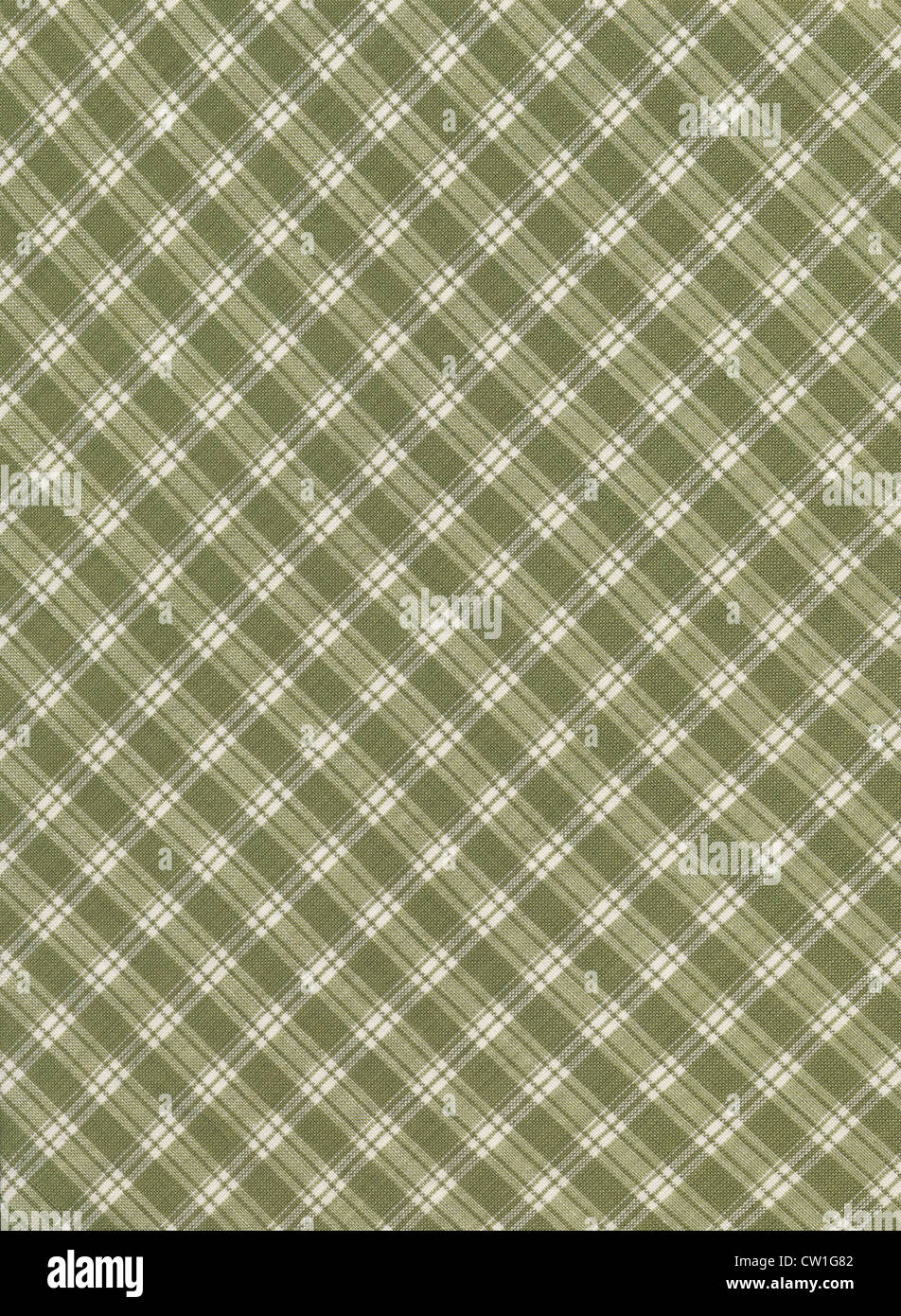 Grün-weiß karierten "Gingham" Diagonale Stoff Hintergrund. Stockfoto