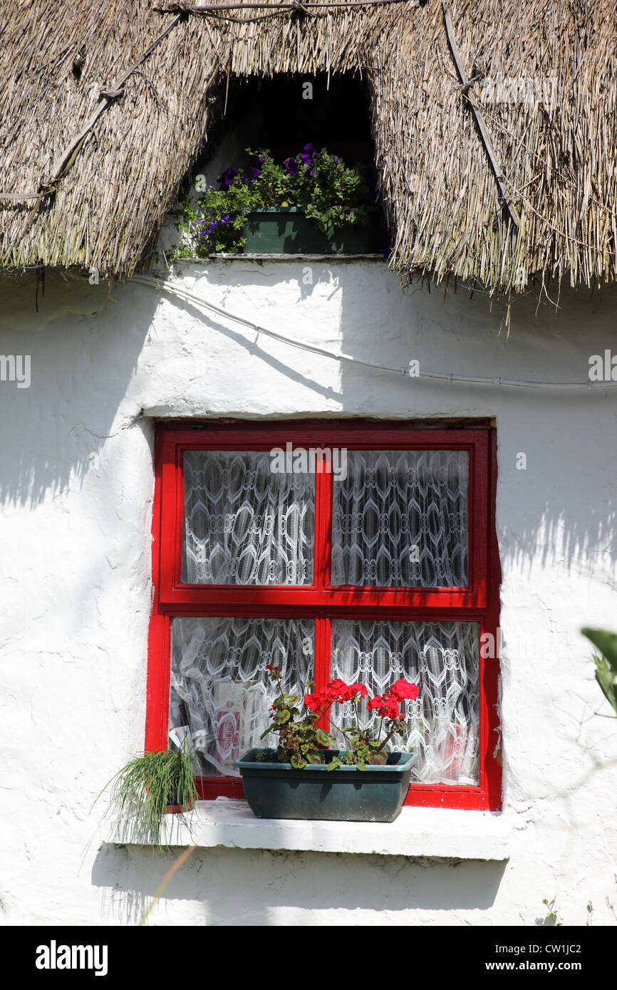 Fenster unter dem Vordach eines strohgedeckten Fishermans Cottage, Clogherhead, Co Louth, Irland Stockfoto