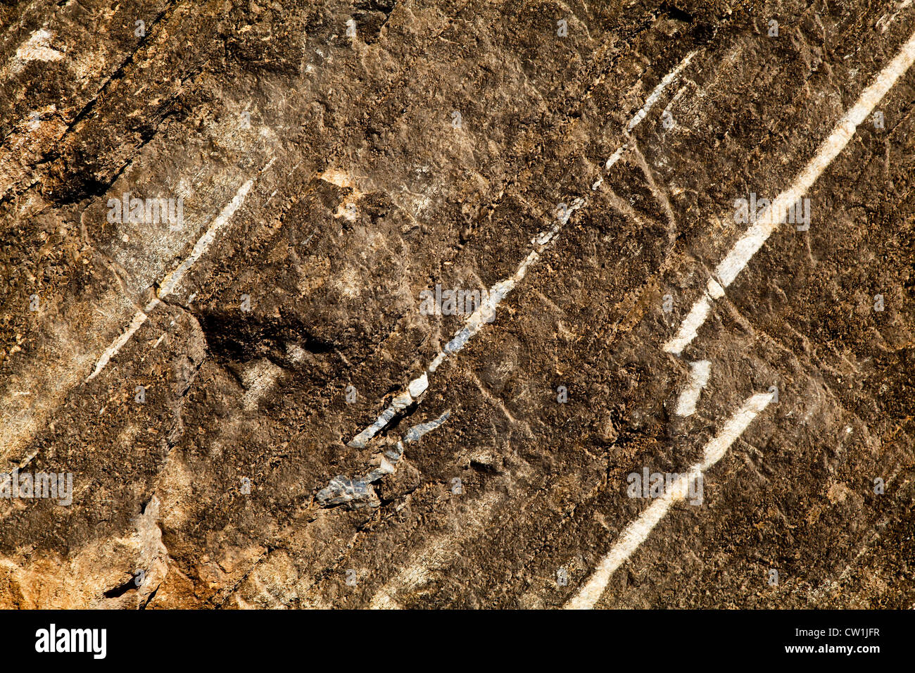 generische Berg Seite Rock Textur in der Nähe von Rajasthan Indien, Geologie, Entwicklung der Granit Marmorierung, stehen Orientierung Stockfoto