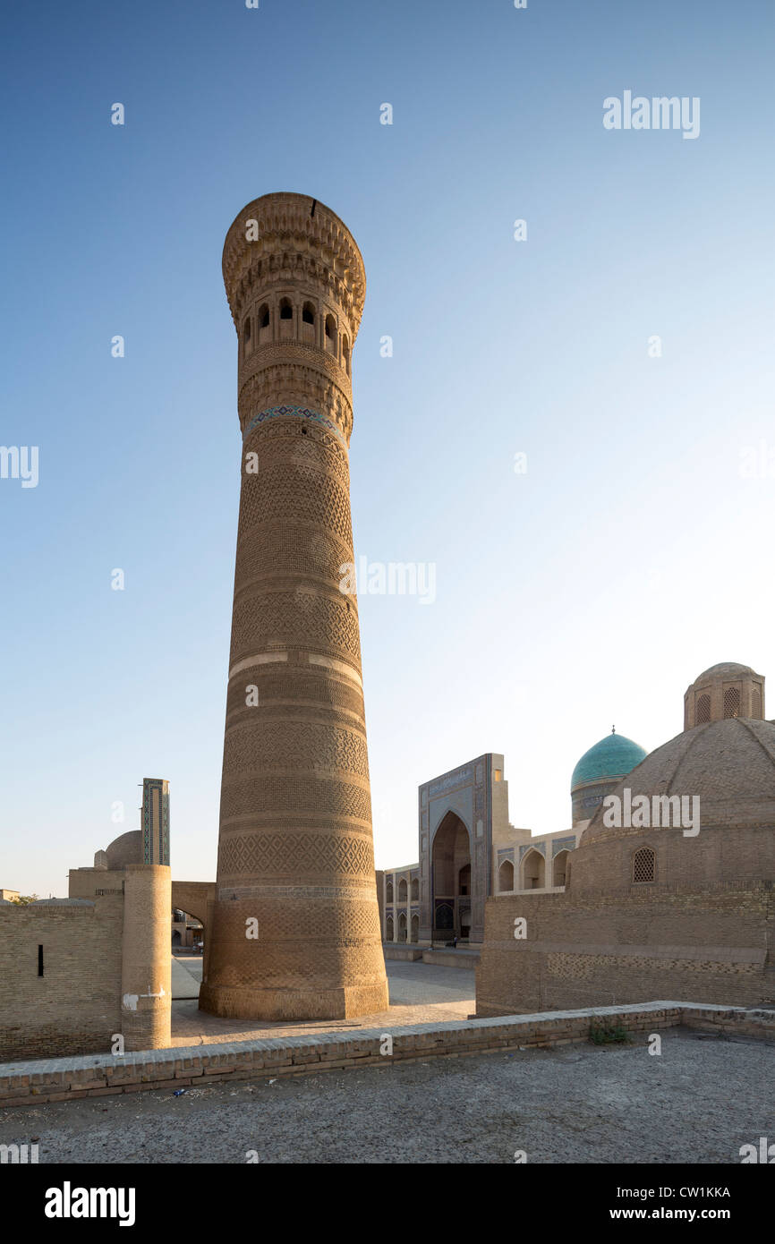 Kalan Minarett, Freitagsmoschee, Buchara, Usbekistan Stockfoto