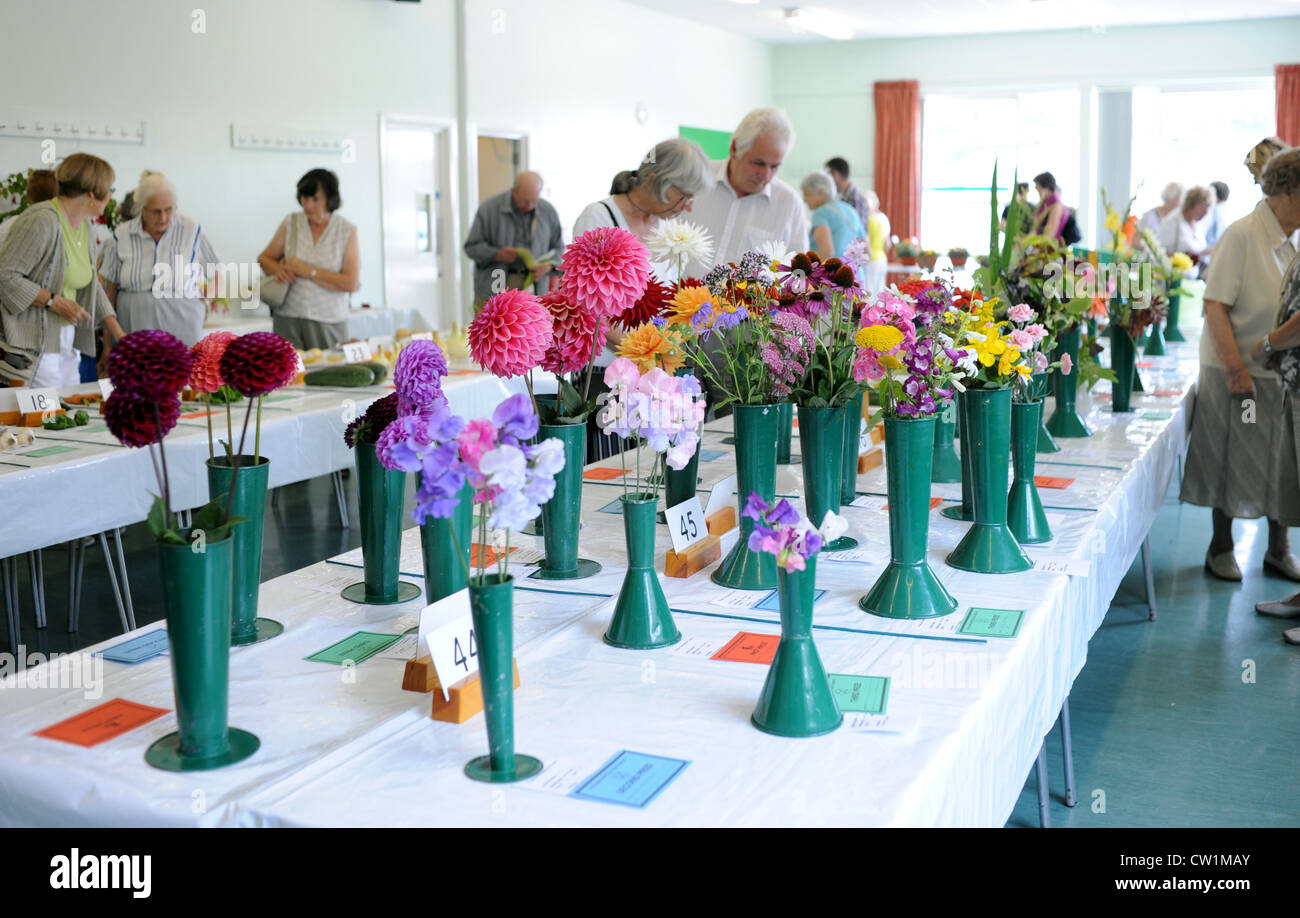 Bunte zeigt auf der Patcham Horticultural Society Annual Flower Show heute Stockfoto