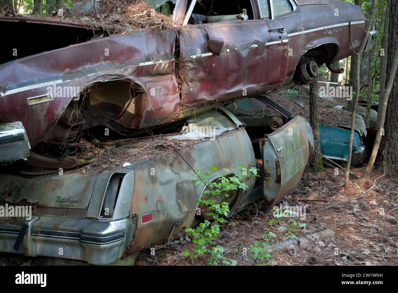 Alte verlassene Autos in Wäldern, auf einander gestapelt Stockfoto