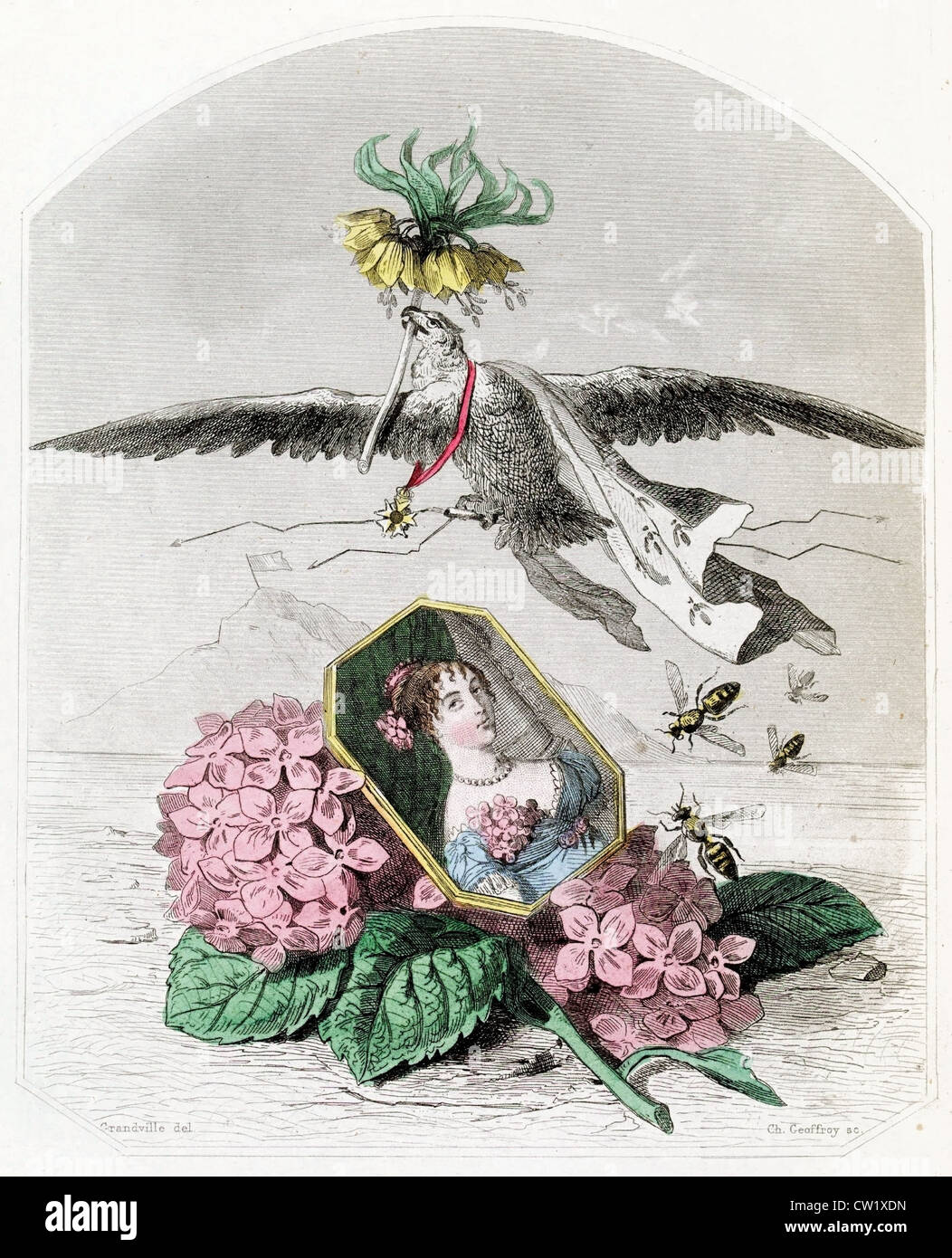 Hortensie und Imperial crown Stockfoto