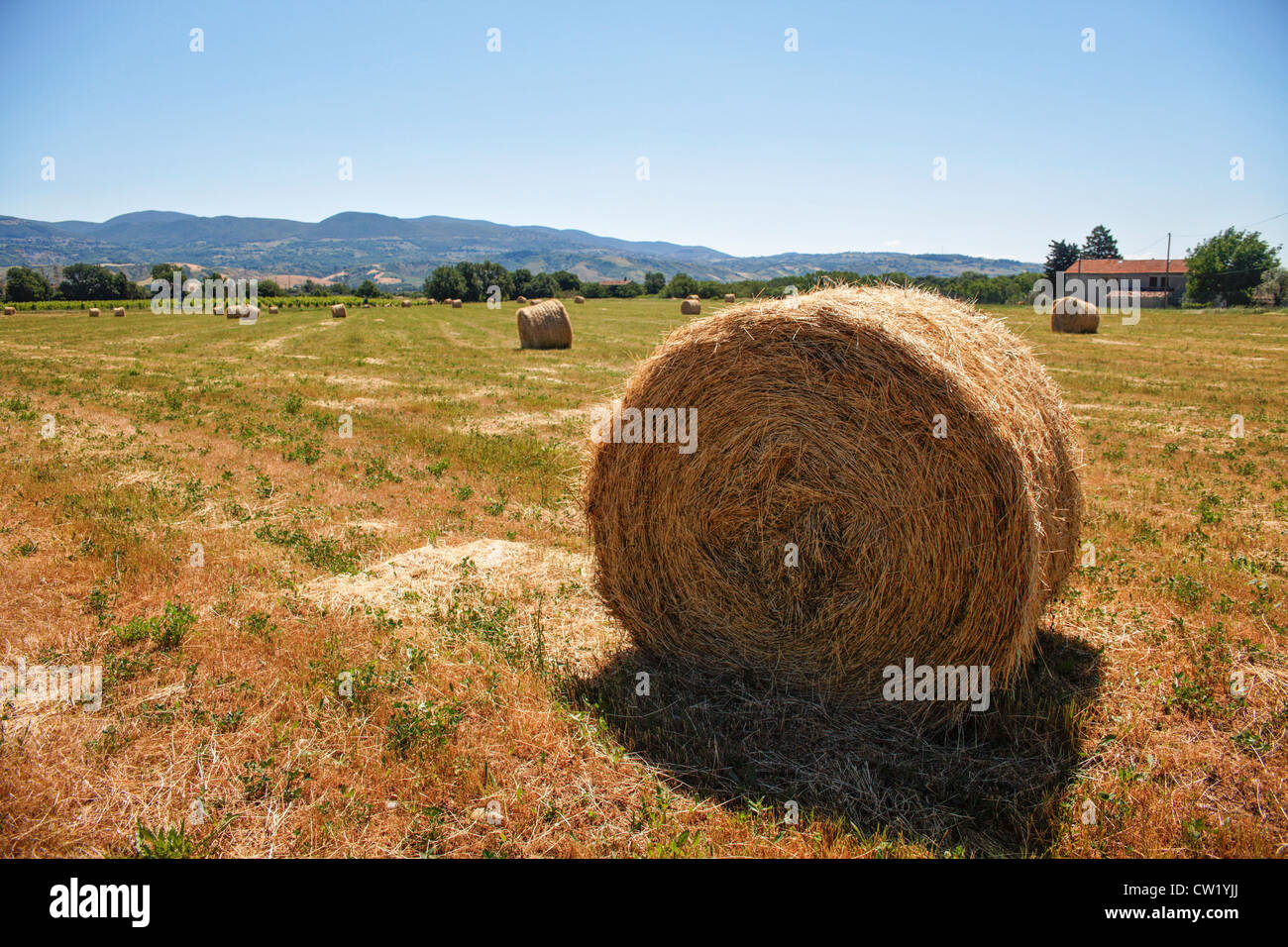 Ländliche Italien, Umbrien Strohballen im Feld Stockfoto