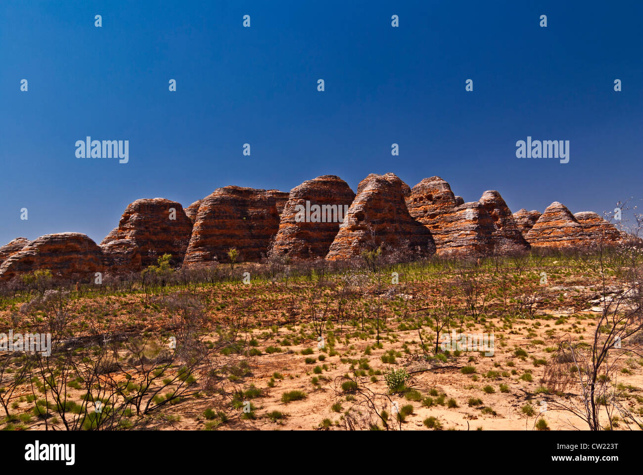 BUNGLE BUNGLE RANGE, PURNULULU NATIONAL PARK, WESTERN AUSTRALIA, AUSTRALIEN Stockfoto