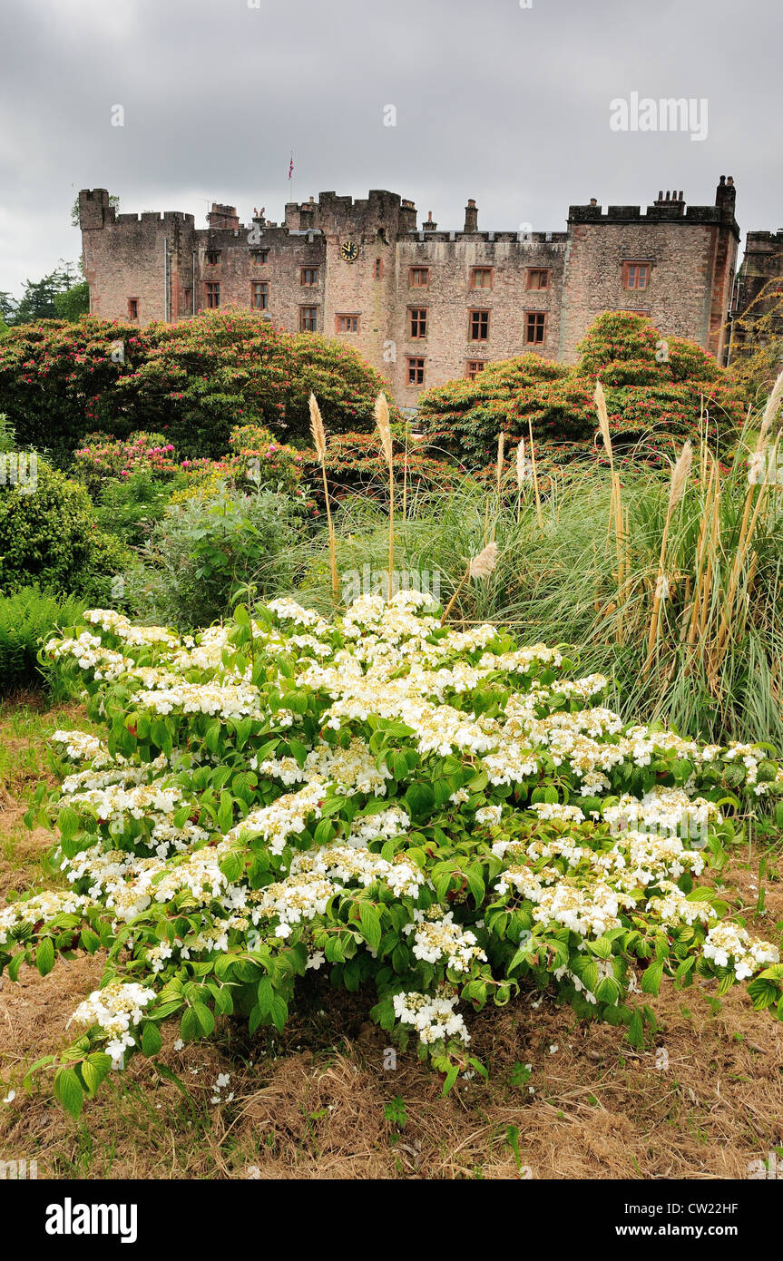 Muncaster Schloss und Gärten blühen im englischen Lake District Stockfoto