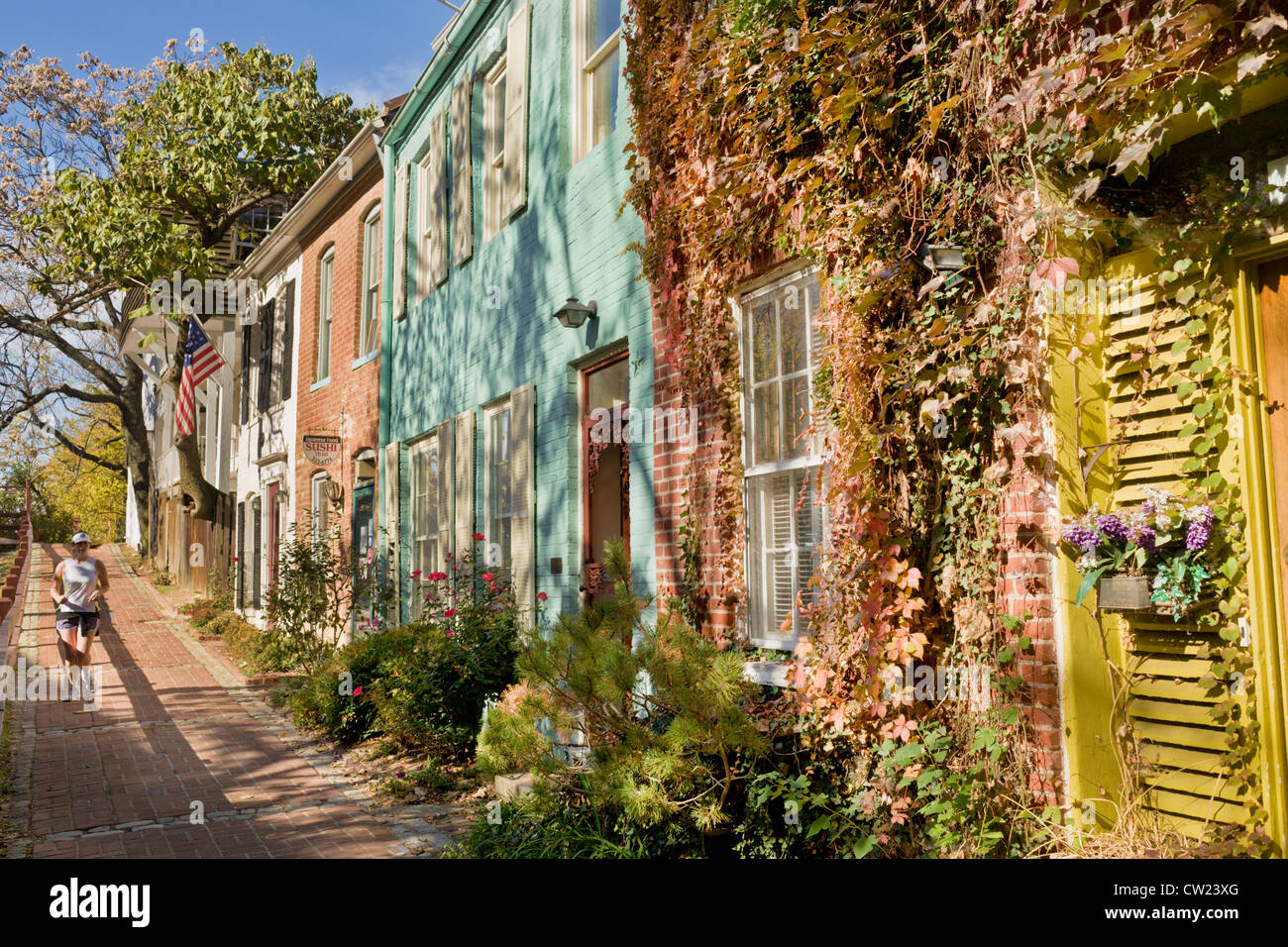 Niedliche Häuser entlang C & O Kanal in Georgetown, Washington D.C. Stockfoto