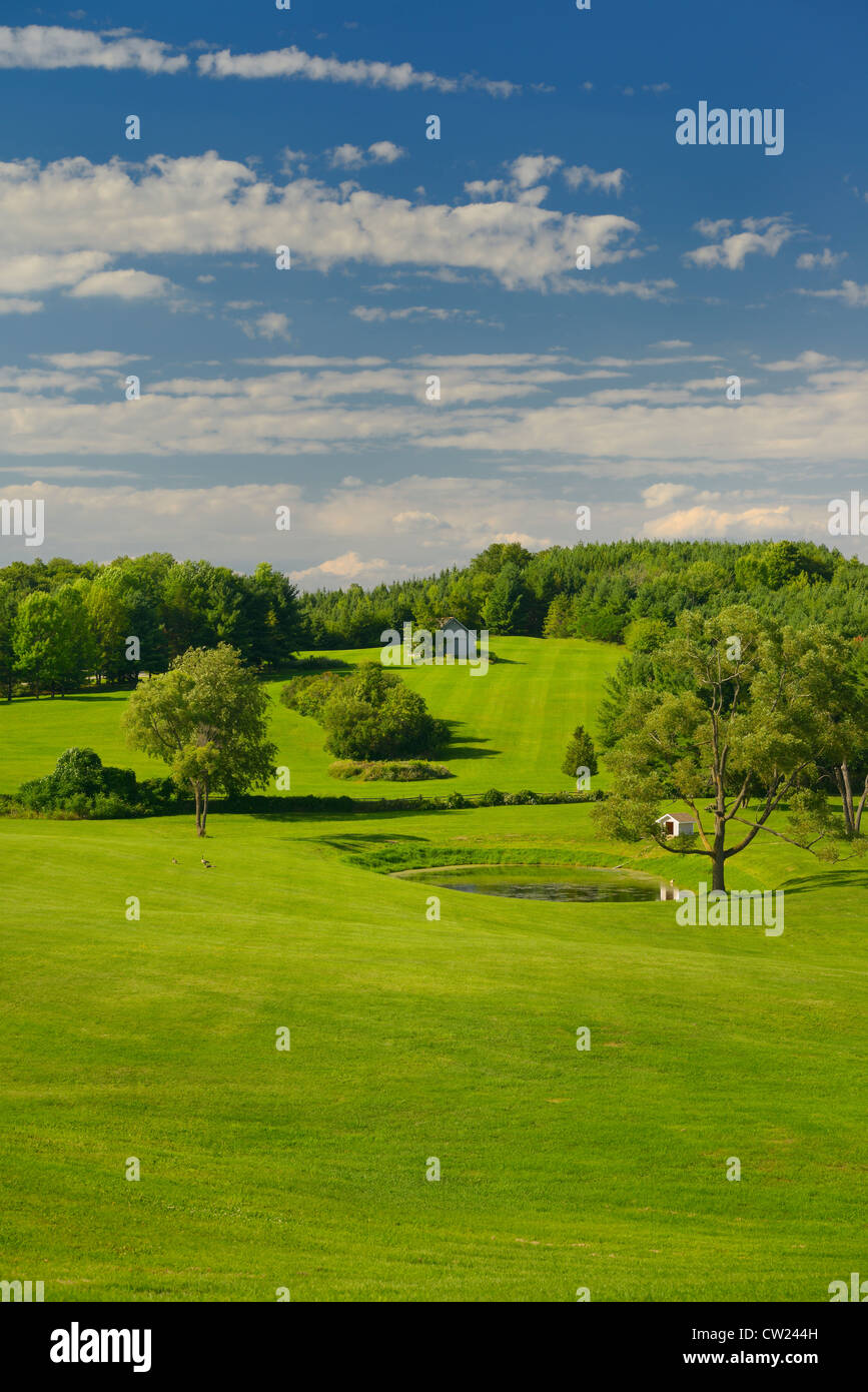 Gemähten Felder grünen Gras mit Teich und Bäumen an einem Land-Reiterhof Ontario Kanada Stockfoto