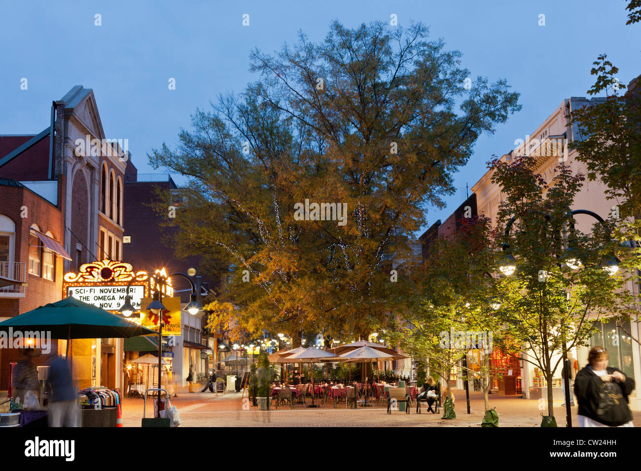 Innenstadt-Mall, Altstadt, Charlottesville, Virginia Stockfoto