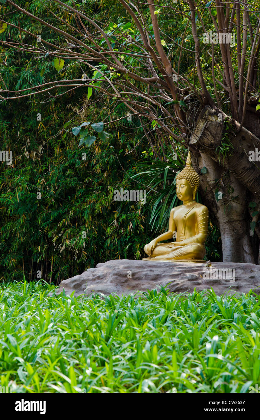 Gold Imgage des buddha Stockfoto