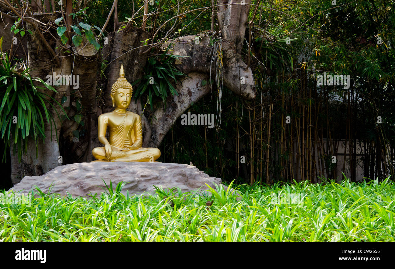 Gold-Image des buddha Stockfoto