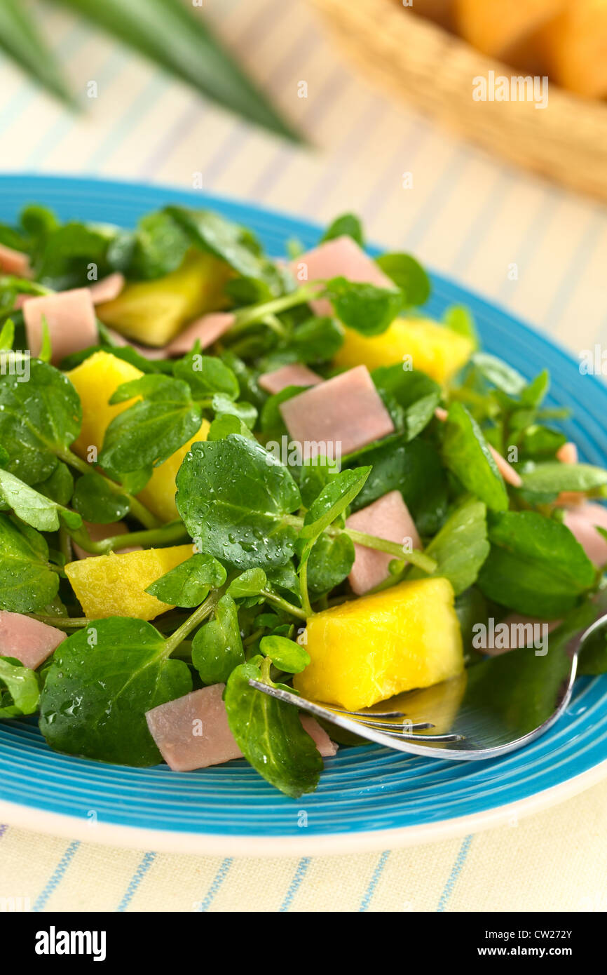 Frische Kresse, Ananas und Schinken Salat auf blauen Teller mit einer Gabel Stockfoto