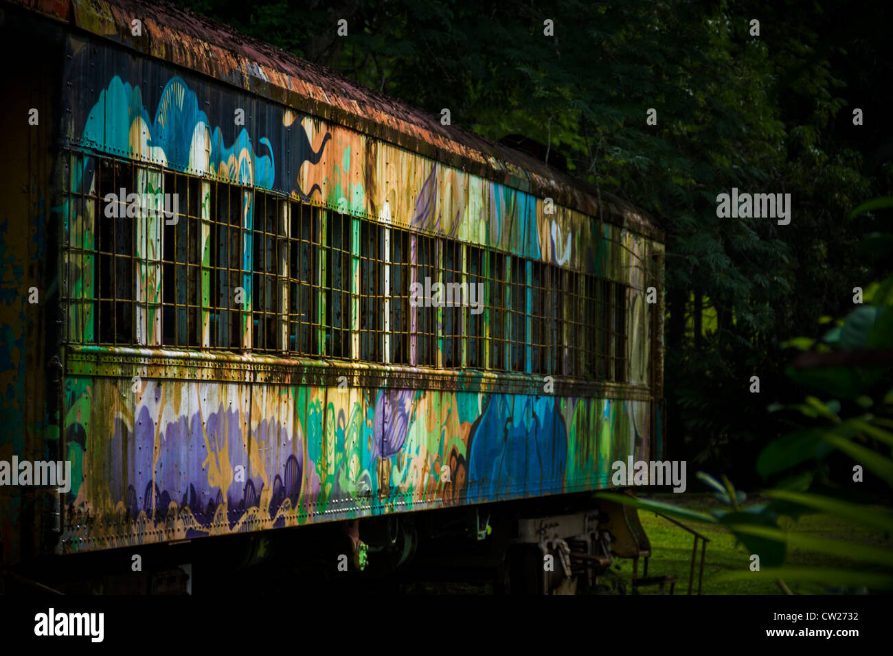 Bunte Waggon. Gipfel von Gärten, Gamboa, Republik Panama, Mittelamerika Stockfoto