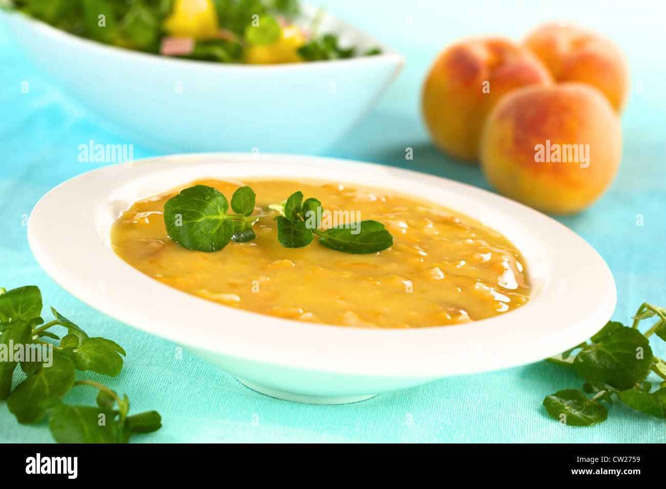 Erfrischende kalte Pfirsich Suppe in tiefen Teller garniert mit Brunnenkresse Stockfoto