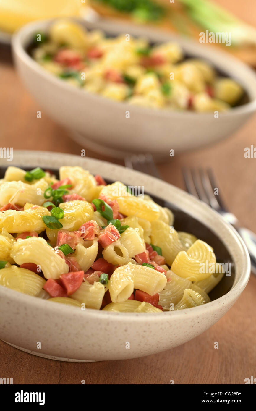 Zwei Schüsseln voller frische hausgemachte Ellenbogen Makkaroni Nudeln mit Wurst Stücke, geriebenem Käse und Frühlingszwiebeln Stockfoto