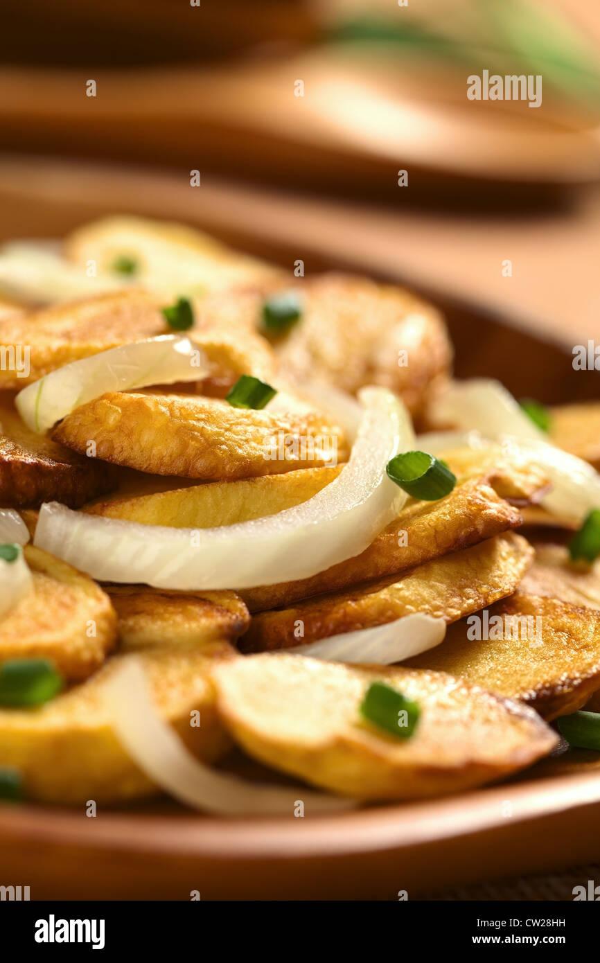 Frische hausgemachte knusprig gebratene Kartoffel-Scheiben mit gebratenen Zwiebeln und Lauch auf Holzplatte Stockfoto